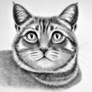 Meet your Posher, MarcellaFineArt